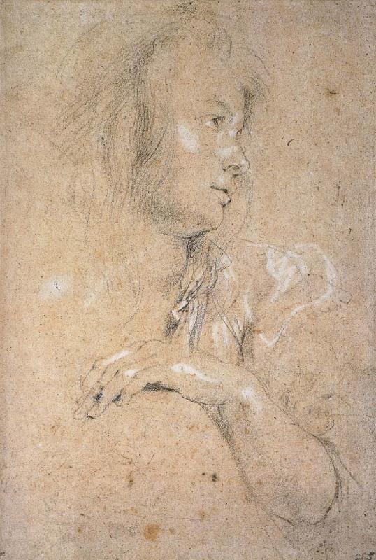 Peter Paul Rubens Study of Head